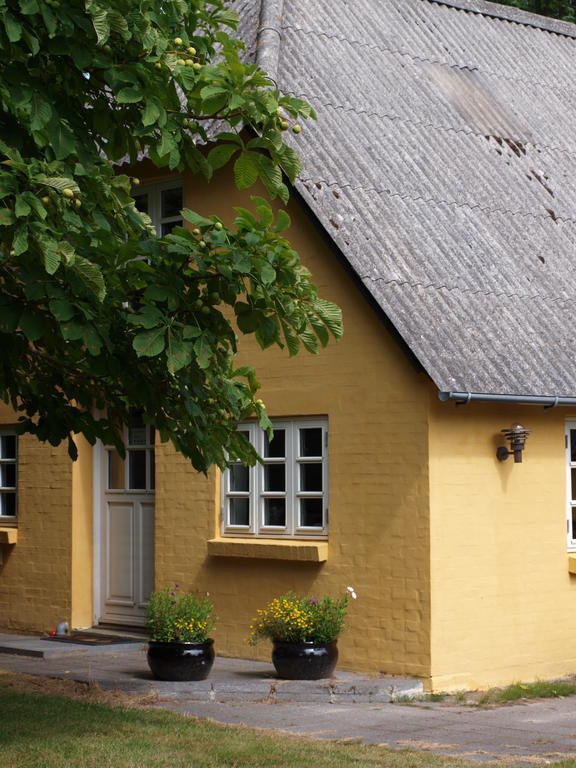 Faedrelandet Ferielejlighed & Turridning Laeso Habitación foto